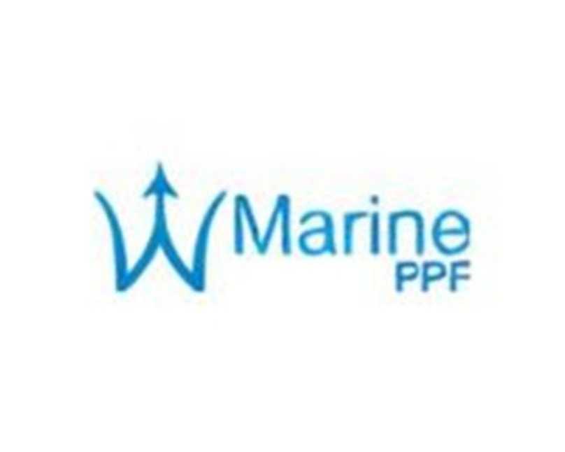 trusted-automotive-ppf-solutions-in-san-antonio