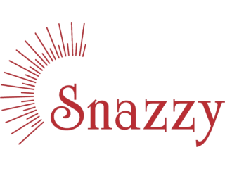 reliable-portfolio-management-in-ahmedabad-snazzy-wealth-small-0