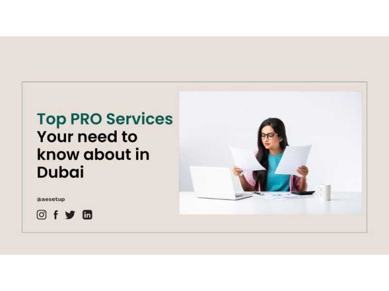 list-of-pro-services-in-dubai-small-0