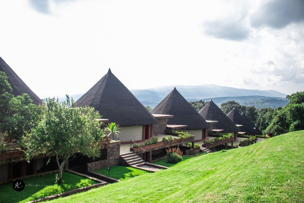 kenya-safari-experience-the-ultimate-wildlife-adventure-big-0