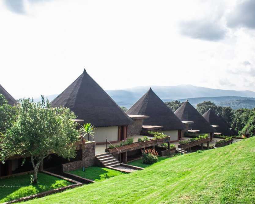 kenya-safari-experience-the-ultimate-wildlife-adventure