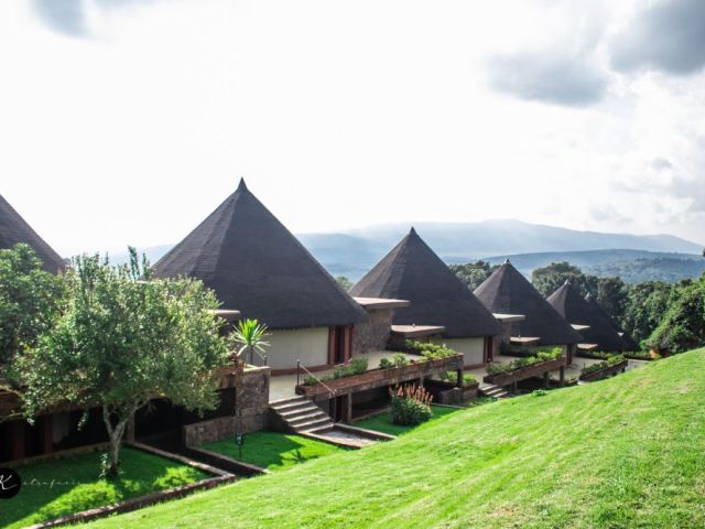 kenya-safari-experience-the-ultimate-wildlife-adventure