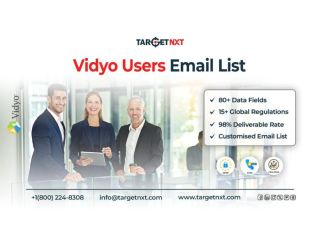 vidyo-users-email-list-for-high-roi-campaigns-small-0