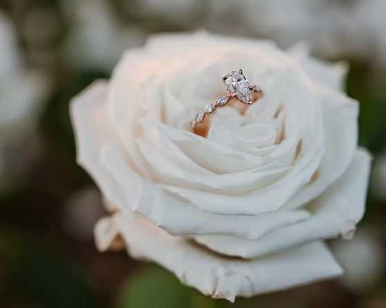 dream-marriage-proposal-on-the-beach-by-certified-cupid