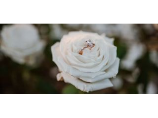dream-marriage-proposal-on-the-beach-by-certified-cupid-small-0