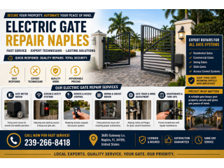 naples-trusted-electric-gate-repair-fast-secure-small-0