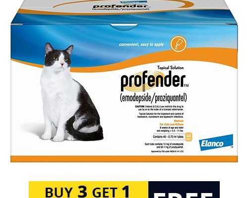 profender-for-cats-get-up-to-30-off-petcareclub