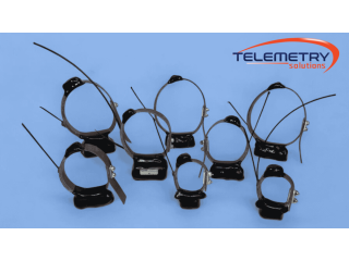 how-do-tracking-gps-systems-improve-wildlife-telemetry-services-small-1