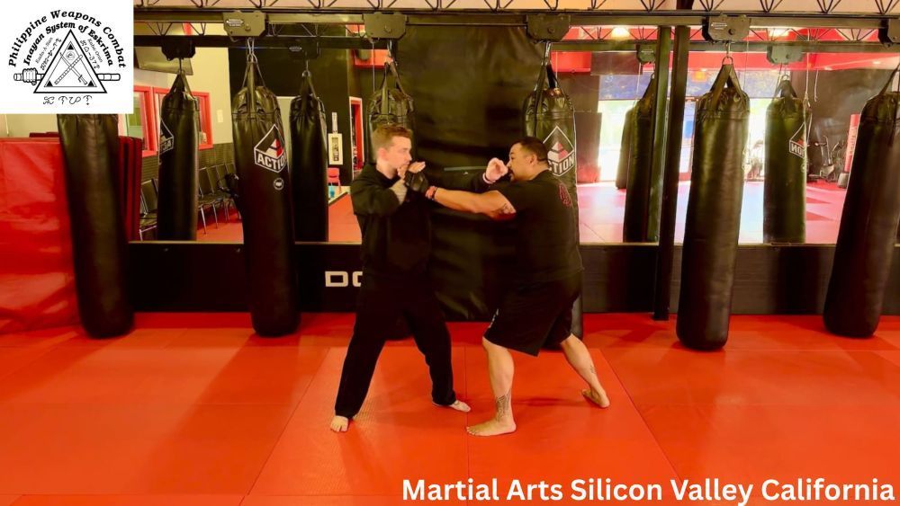 best-martial-arts-classes-in-silicon-valley-california-big-1