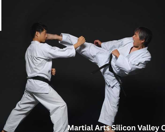 best-martial-arts-classes-in-silicon-valley-california