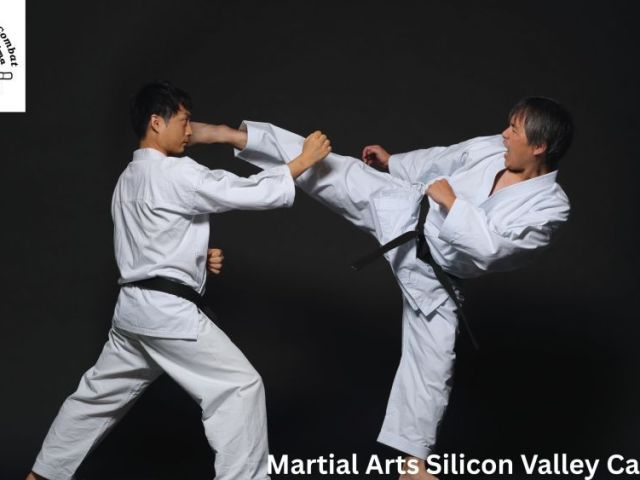 best-martial-arts-classes-in-silicon-valley-california