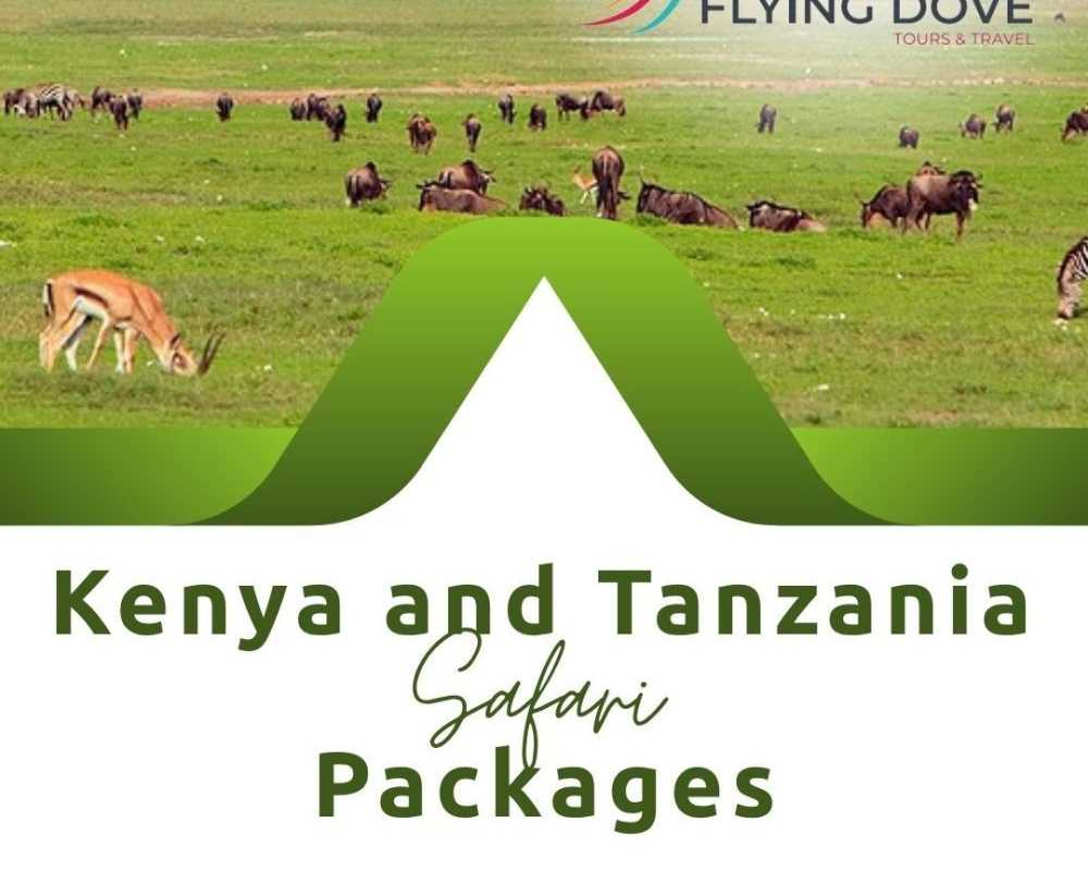 kenya-and-tanzania-safari-packages