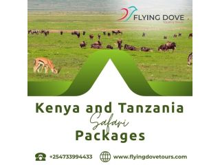 kenya-and-tanzania-safari-packages-small-0