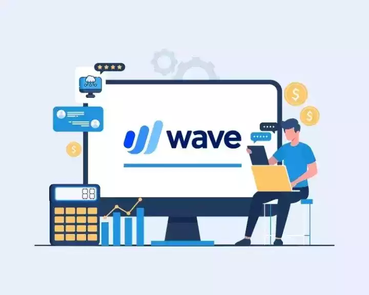 introduction-to-wave-accounting-software
