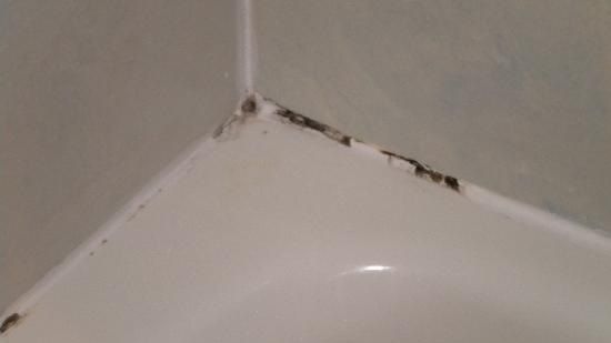 reliable-grout-restoration-tampa-for-fresh-surfaces-big-0