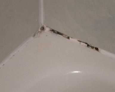reliable-grout-restoration-tampa-for-fresh-surfaces