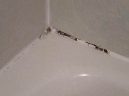 reliable-grout-restoration-tampa-for-fresh-surfaces