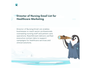 director-of-nursing-email-list-for-healthcare-marketing-small-0