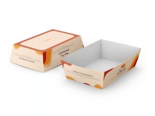 strong-cardboard-packaging-trays-small-0