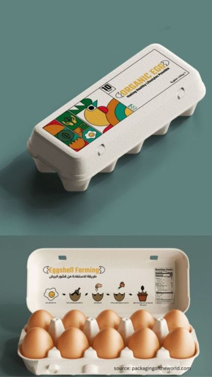 egg-cartons-that-protect-your-fragile-eggs-big-0