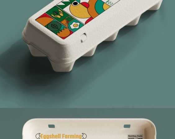 egg-cartons-that-protect-your-fragile-eggs