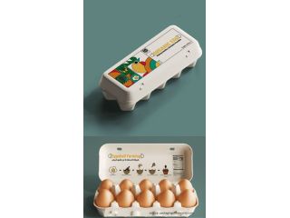 egg-cartons-that-protect-your-fragile-eggs-small-0