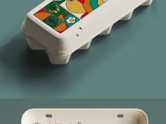 egg-cartons-that-protect-your-fragile-eggs