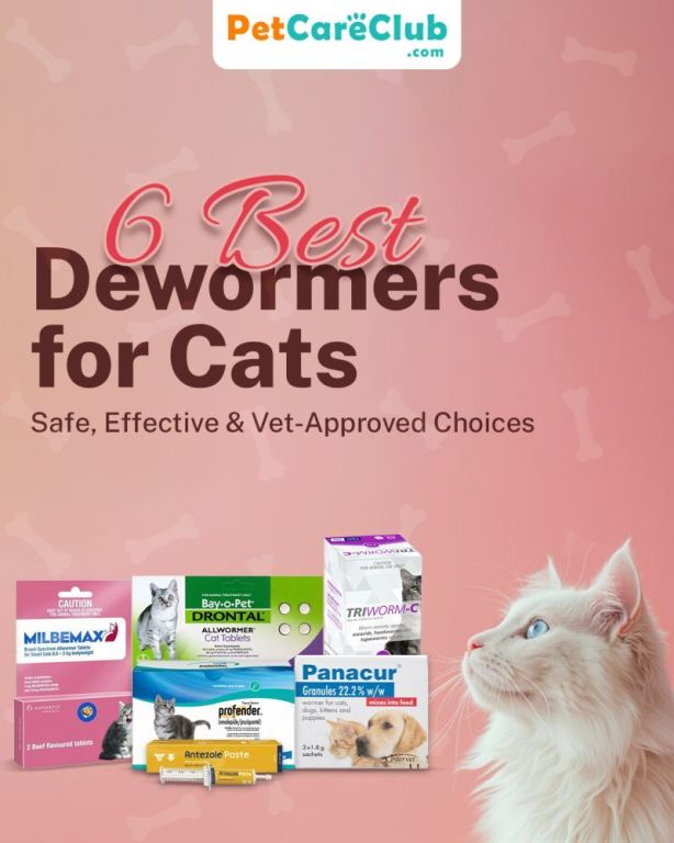 6-best-dewormers-for-cats-safe-effective-vet-approved-choices-big-0
