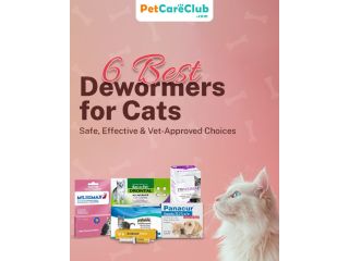 6-best-dewormers-for-cats-safe-effective-vet-approved-choices-small-0