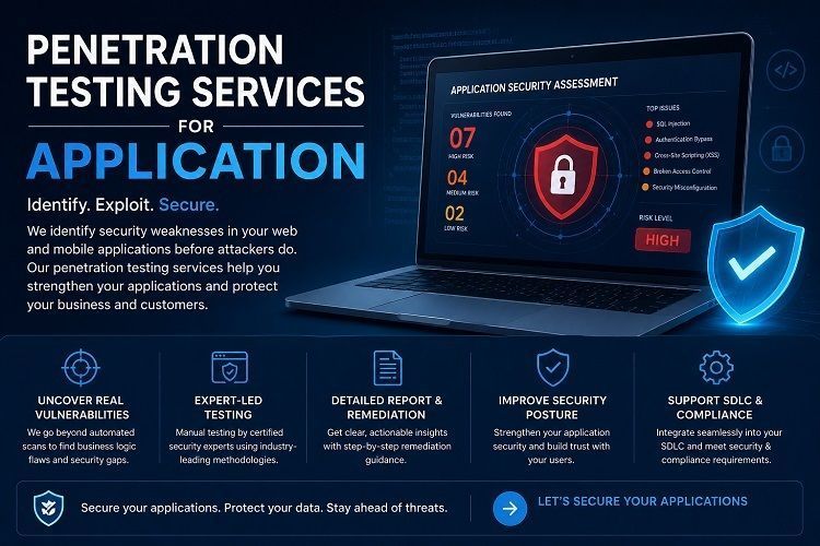 penetration-testing-services-for-application-big-0