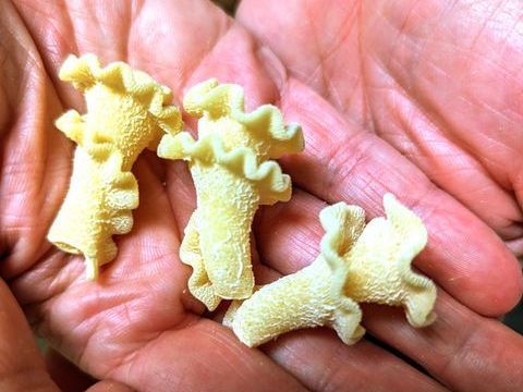 indulge-in-homemade-fresh-pasta-palm-springs-style