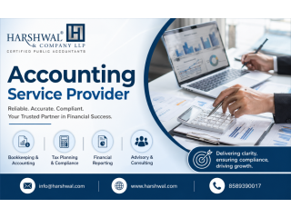 outsource-to-a-professional-accounting-service-provider-today-small-0