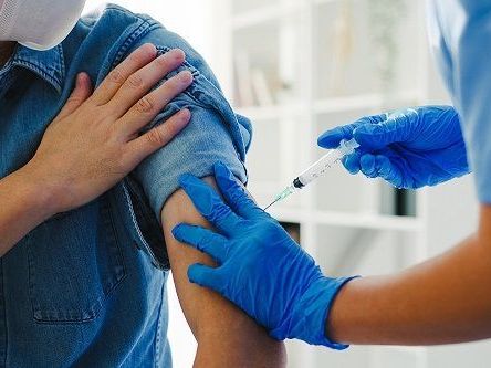 rabies-vaccination-in-new-york-quick-and-reliable-care