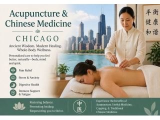 acupuncture-chinese-medicine-chicago-small-0