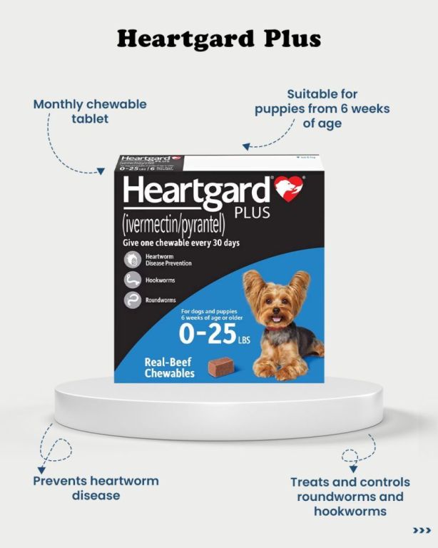 buy-heartgard-plus-for-dogs-online-trusted-heartworm-prevention-big-0