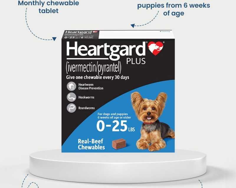 buy-heartgard-plus-for-dogs-online-trusted-heartworm-prevention