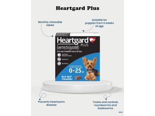 buy-heartgard-plus-for-dogs-online-trusted-heartworm-prevention-small-0