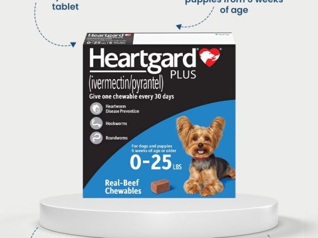 buy-heartgard-plus-for-dogs-online-trusted-heartworm-prevention