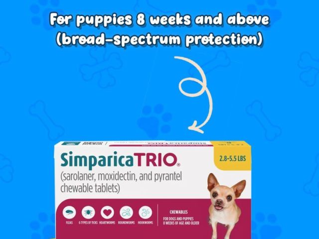 buy-simparica-trio-for-dogs-online