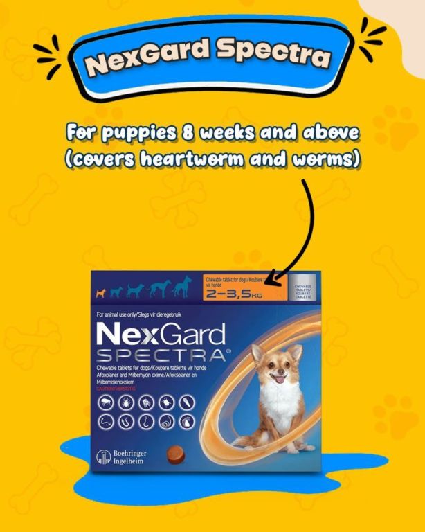 buy-nexgard-spectra-for-dogs-online-big-0