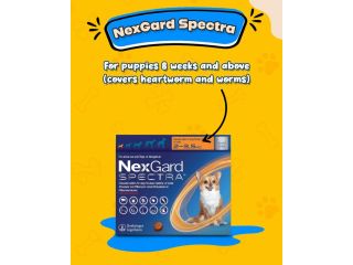 buy-nexgard-spectra-for-dogs-online-small-0