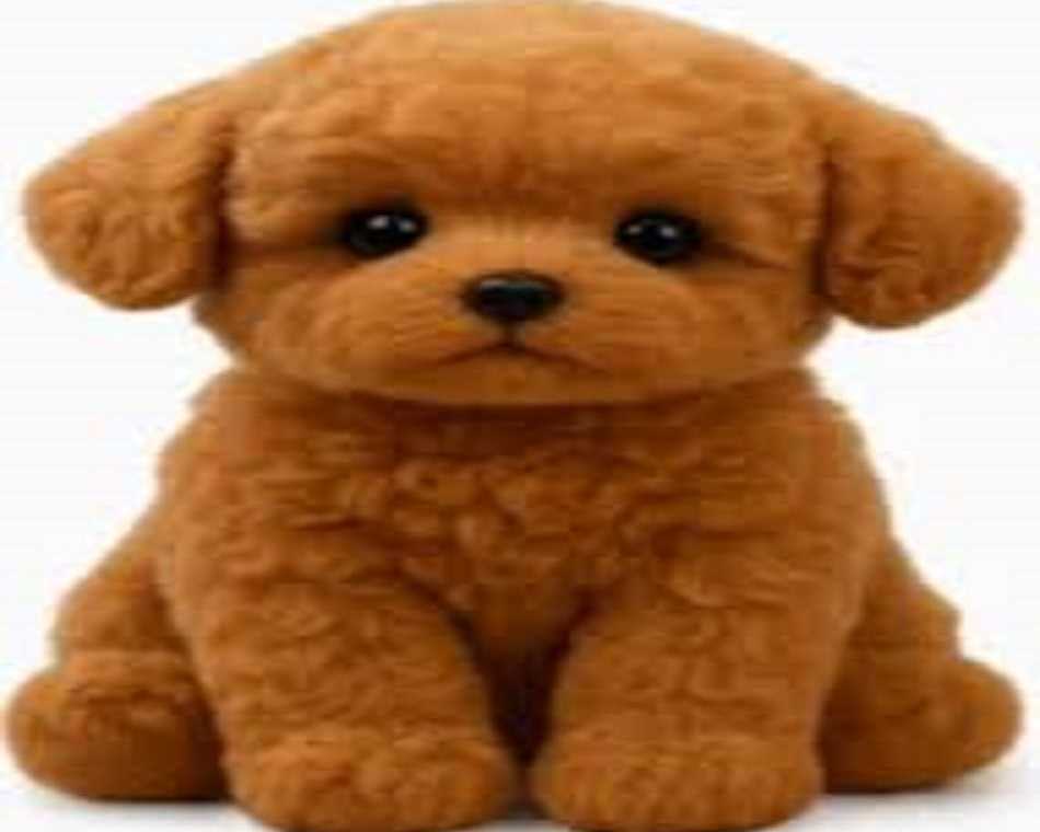 wuffy-robot-dog-reviews-the-interactive-robo-pet
