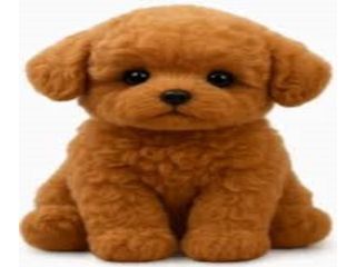 wuffy-robot-dog-reviews-the-interactive-robo-pet-small-0