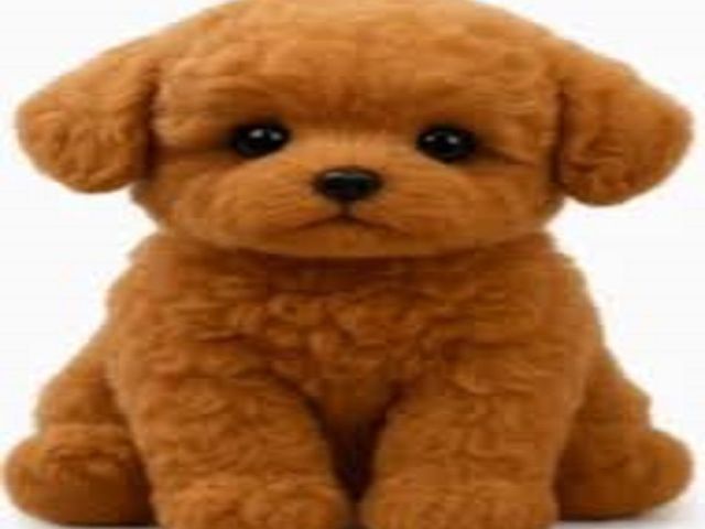 wuffy-robot-dog-reviews-the-interactive-robo-pet