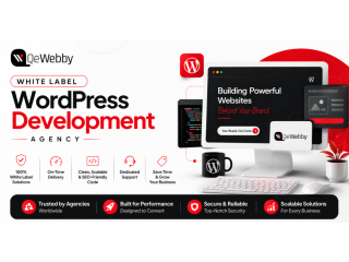white-label-wordpress-development-agency-scalable-web-solutions-small-0