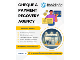 1-money-recovery-agency-in-india-for-businesses-individuals-small-2