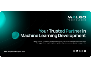 machine-learning-development-company-for-custom-ai-solutions-small-0