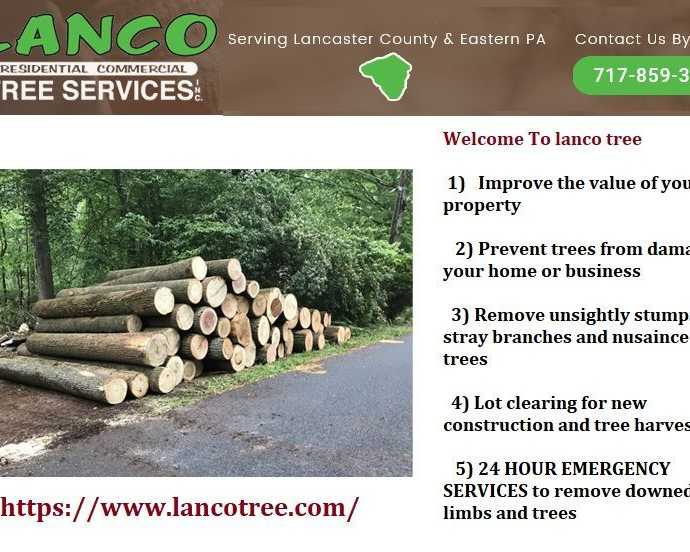 trusted-tree-care-services-in-lancaster-pa-by-experts