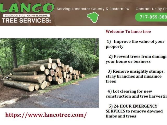 trusted-tree-care-services-in-lancaster-pa-by-experts