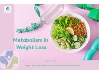 how-metabolism-in-weight-loss-impacts-your-fat-burning-journey-small-0